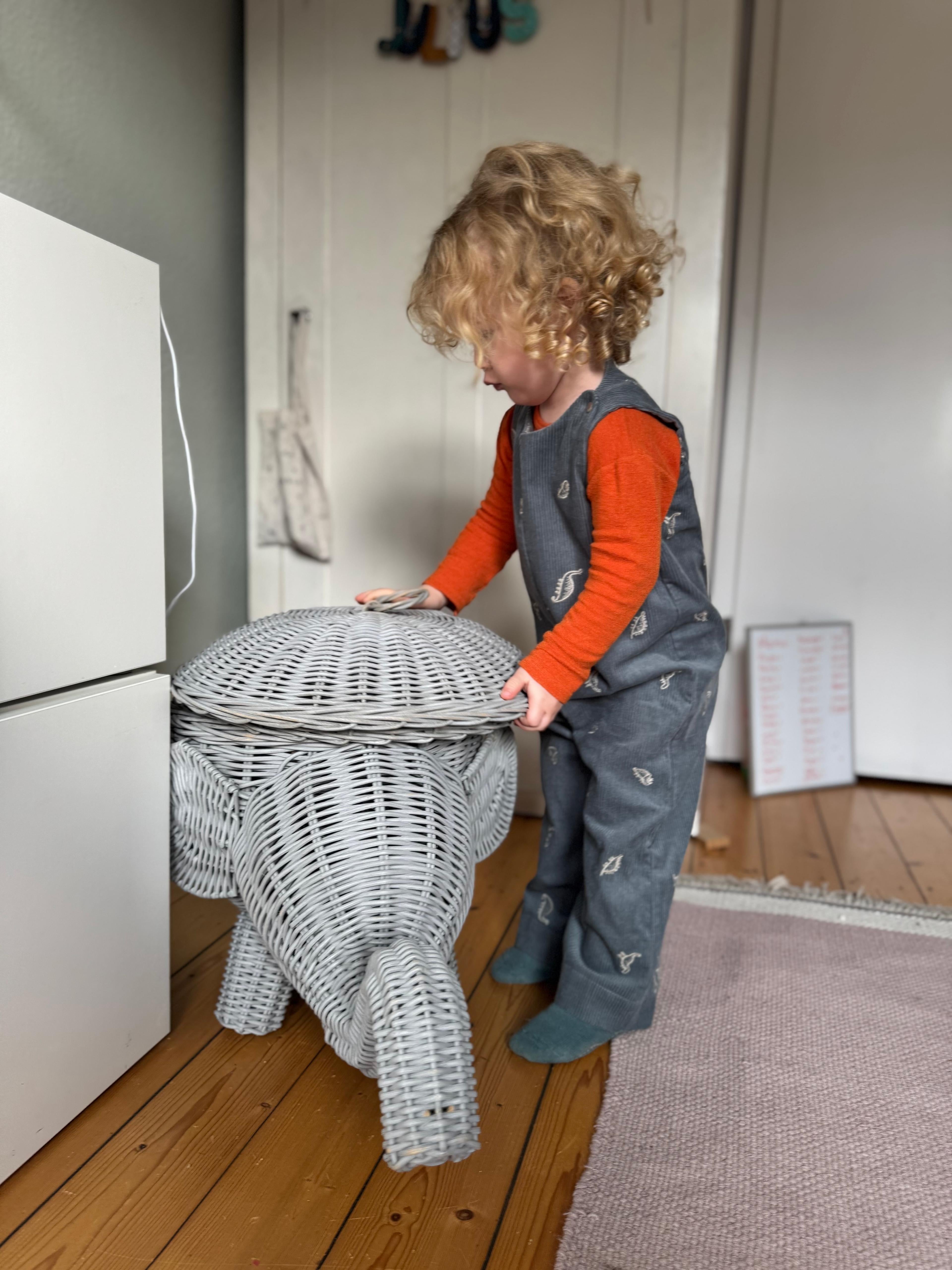 Kamping Studios Baby Overall und Strampler aus Cord mit Dinosauriern am Model, Vorderseite Mood